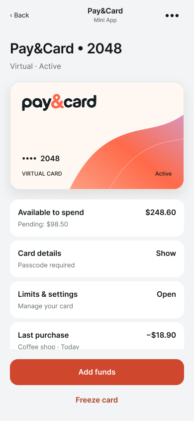 Pantalla de tarjeta virtual de Pay&Card con saldo de ejemplo, detalles y controles